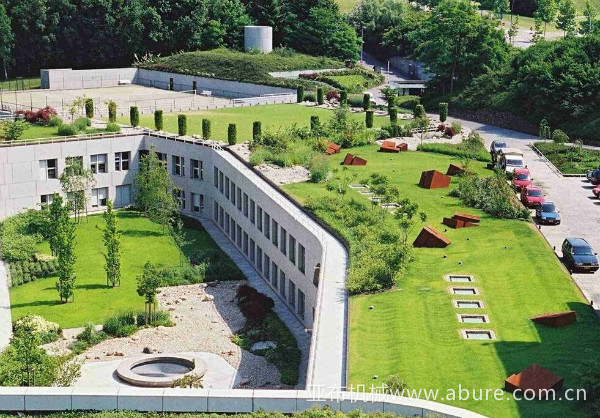 ������ֲ:�����ˮ